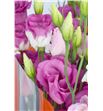 Lisianthus exc. hot pink 75 - LISEXCHOTPIN2