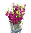 Lisianthus arosa red 65 - LISARORED