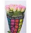 Rosa hol. lovely jewel 60 - RGRLOVJEW