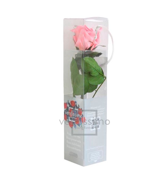 Rosa amorosa preservada mini prz/2420 - PRZ2420-05-ROSA-TALLO-MINI