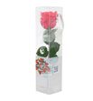 Rosa amorosa preservada mini prz/2490 - PRZ2490-05-ROSA-TALLO-MINI