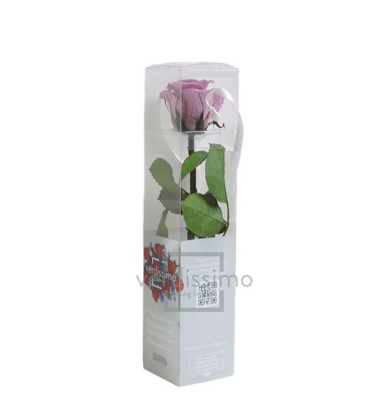 Rosa amorosa preservada mini prz/2830 - PRZ2830-05-ROSA-TALLO-MINI