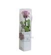 Rosa amorosa preservada mini prz/2830 - PRZ2830-05-ROSA-TALLO-MINI