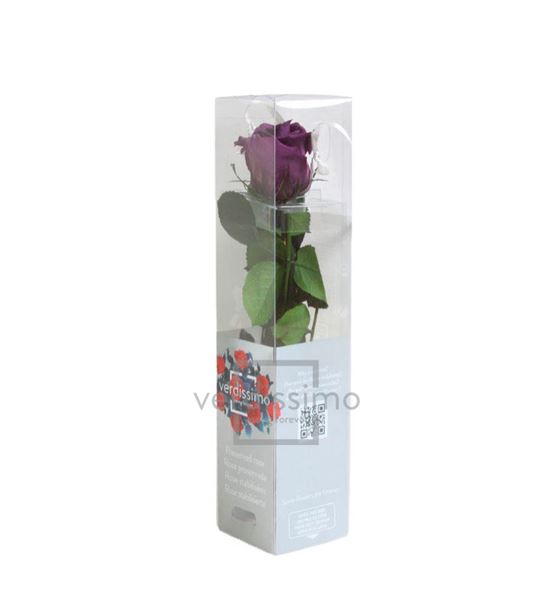 Rosa amorosa preservada mini prz/2840 - PRZ2840-05-ROSA-TALLO-MINI