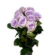 Rosa hol ocean song 60 - RGROCESON
