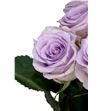 Rosa hol ocean song 60 - RGROCESON2