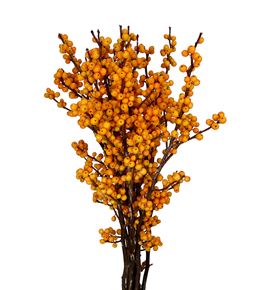 Ilex golden verboom 60 - ILEGOLVER