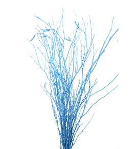 Berk azul - BERAZU