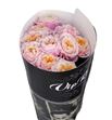 Rosa hol notting hill 70 - RGRNOTHIL