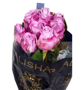 Rosa hol. maritim 50 - RGRMARI