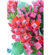 Bouvardia royal ruby red 65 - BOUROYRUBRED2