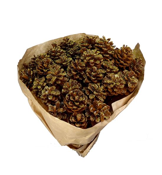 Piña canela oro x40 - PINCANORO
