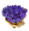 Piña lila purpurina x50 - PINLILPUR