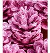 Piña rosa purpurina x40 - PINROSPUR1