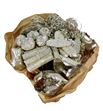 Indian mix platina purpurina x40 - INDPLATPUR