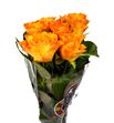 Rosa hol. marie claire 60 - RGRMARCLA