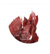 Salal tips preservado sal/0202 - SAL0202-1-SALAL