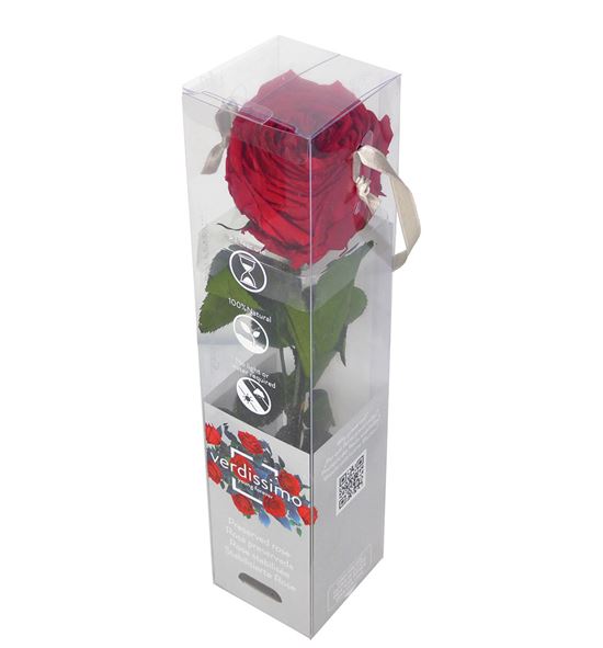 Rosa amorosa preservada mini garden prg/2200 - PRG2200