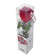 Rosa amorosa preservada mini garden prg/2200 - PRG2200