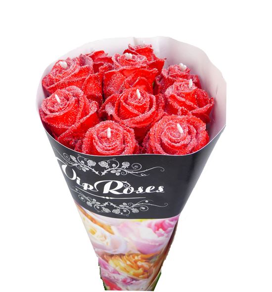 Rosa hol choco red love 70 - RGRCHOROJ