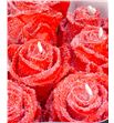 Rosa hol choco red love 70 - RGRCHOROJ1