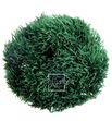 Green ball preservado verde grb/2100 - GRB2100-01-GREEN-BALL