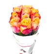 Rosa hol. pebbles 50 - RGRPEB