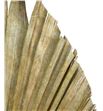Palmito seco super natural - PALGRA1