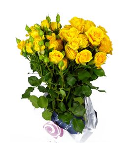 Rs ramificada marisa 50 - RTRMARI