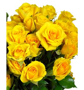 Rs ramificada marisa 50 - RTRMARI