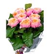 Rosa hol vuvuzela 35 - RGRVUV