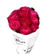 Rosa hol. frozen summerhouse 40 - RGRFROSUM