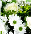 Bouquet summer white 40 - BQTSUMWHI1