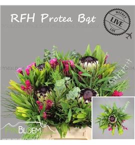 Kaaps verde mixto 40 - KAAVERMIX