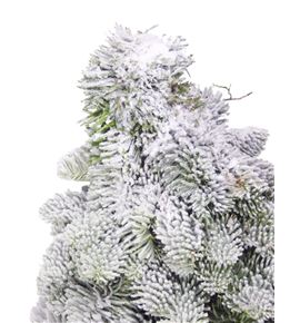 Arbol nobilis nieve 40 a2 - ARBNOBNIE