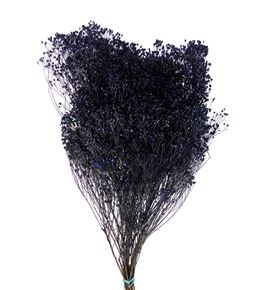 Broom bloom seco azul - BROSECAZU