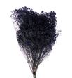 Broom bloom seco azul - BROSECAZU