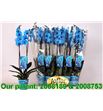 Pl. phalaenopsis azul 2t 80cm x10 - PHAAZU1012802