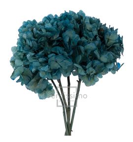 Hortensia preservada standard hrt/0610 - HRT0610-02-HORTENSIA