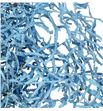Helecho coral azul claro - HELCORAZUCLA1