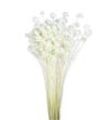 Hill flower seco blanco - HILFLOSECBLA