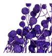 Sago seco purple - SAGSECPUR1