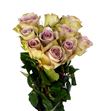 Rosa hol amnesia 50 - RGRAMN