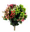 Hypericum romance mixto 50 x25 - HYPROMMIX