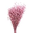 Linum seco rosa claro - LINSECROSCLA