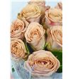 Rosa hol cappuccino 35 - RGRCAP1