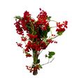 Viburnum compactum 70 - VIBCOM