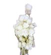 Helichrysum seco vestitum - HELSECVES