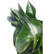 Hojas anthurium 60 - HOJANT1