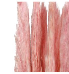 Cortaderia rosa claro 65 - CORROSCLA65